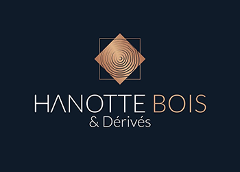 Couvreur saint cyr au mont d'or, couvreur Matray